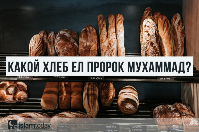 Ячменный, пшеничный, гречневый: какой хлеб ел пророк Мухаммад? (Источник фото: unsplash.com) 